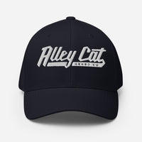 Alley Cat Billboard hat