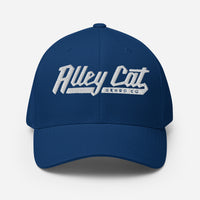 Alley Cat Billboard hat
