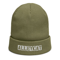 Alley Cat Beanie