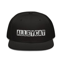 Alley Cat Billboard Hat