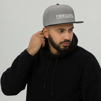 Alley Cat Billboard Hat