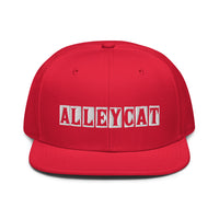 Alley Cat Billboard Hat